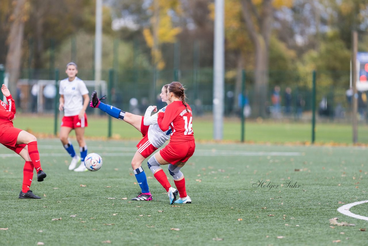 Bild 179 - F Hamburger SV 3 - Walddoerfer SV 2 : Ergebnis: 5:2